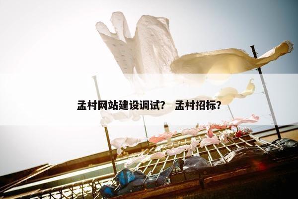 孟村网站建设调试? 孟村招标? 孟村网站建设调试? 孟村招标?
