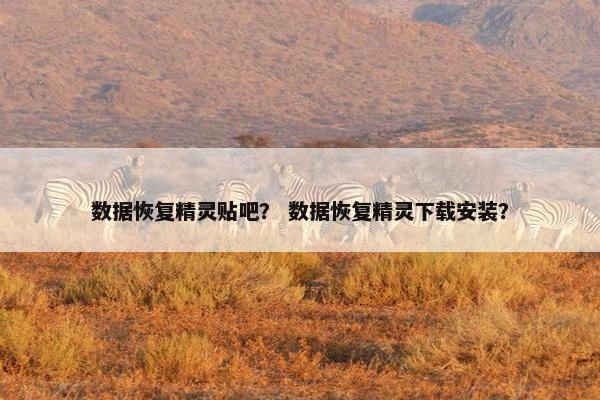 数据恢复精灵贴吧？ 数据恢复精灵下载安装？