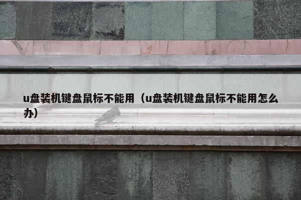 u盘装机键盘鼠标不能用（u盘装机键盘鼠标不能用怎么办）