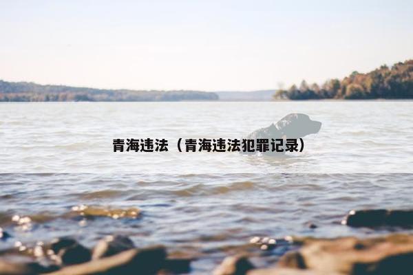 青海违法（青海违法犯罪记录）