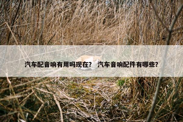 汽车配音响有用吗现在？ 汽车音响配件有哪些？