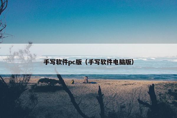 手写软件pc版（手写软件电脑版）
