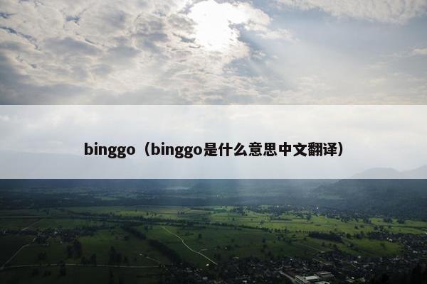 binggo（binggo是什么意思中文翻译）