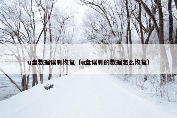 u盘数据误删恢复(u盘误删的数据怎么恢复) u盘数据误删恢复(u盘误删的数据怎么恢复)