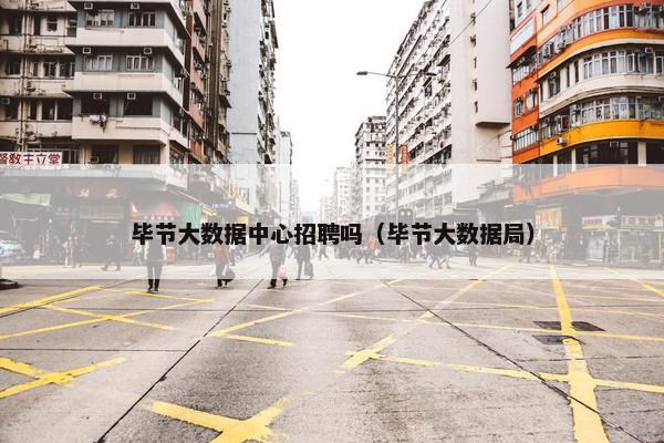 毕节大数据中心招聘吗（毕节大数据局）