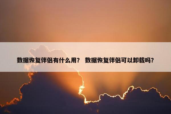 数据恢复伴侣有什么用？ 数据恢复伴侣可以卸载吗？