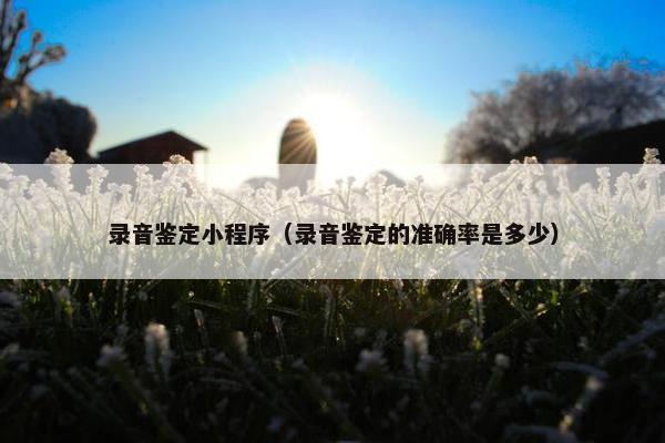 录音鉴定小程序（录音鉴定的准确率是多少）