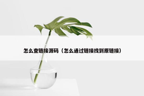 怎么查链接源码（怎么通过链接找到原链接）