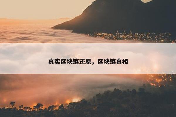 真实区块链还原，区块链真相