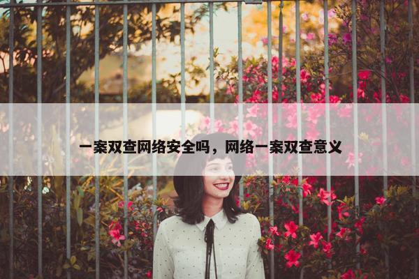 一案双查网络安全吗，网络一案双查意义