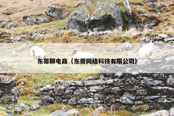 东哥聊电商（东哥网络科技有限公司）