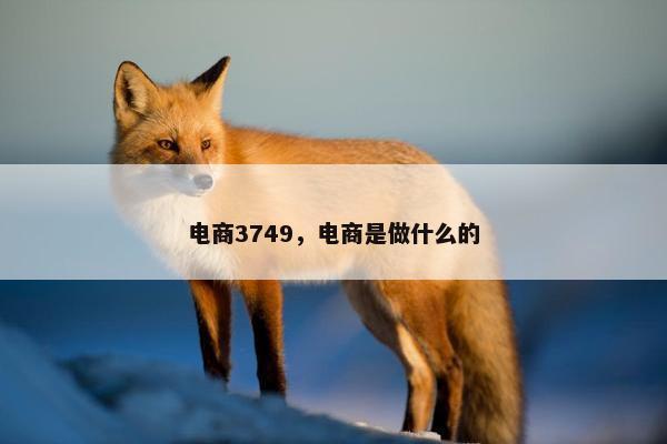 电商3749，电商是做什么的