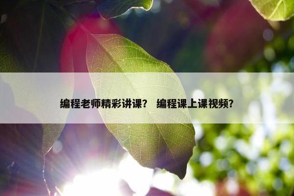 编程老师精彩讲课？ 编程课上课视频？