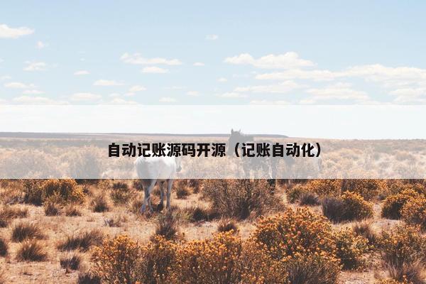 自动记账源码开源（记账自动化）