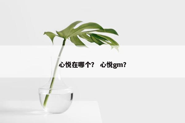 心悦在哪个？ 心悦gm？
