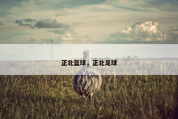 正北篮球，正北足球