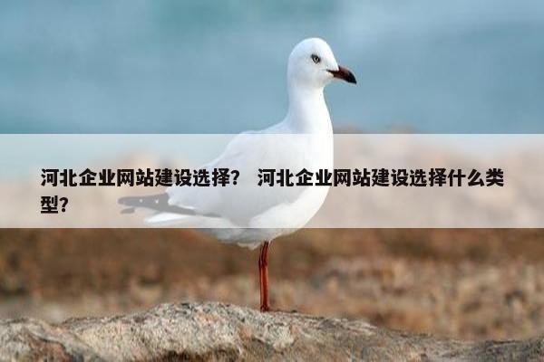 河北企业网站建设选择？ 河北企业网站建设选择什么类型？