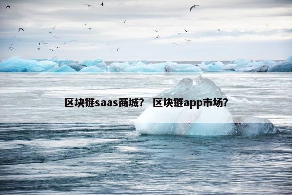 区块链saas商城？ 区块链app市场？