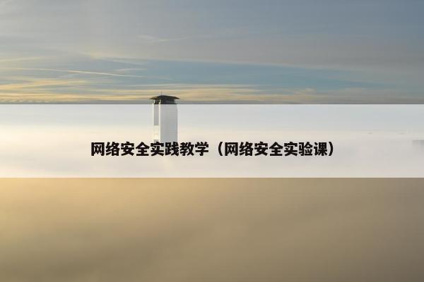网络安全实践教学（网络安全实验课）