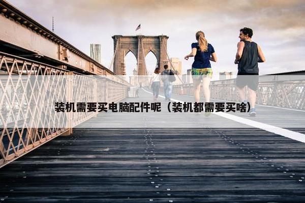 装机需要买电脑配件呢（装机都需要买啥）