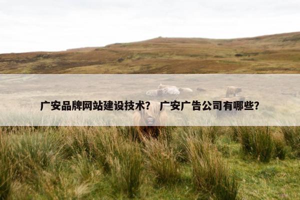 广安品牌网站建设技术？ 广安广告公司有哪些？
