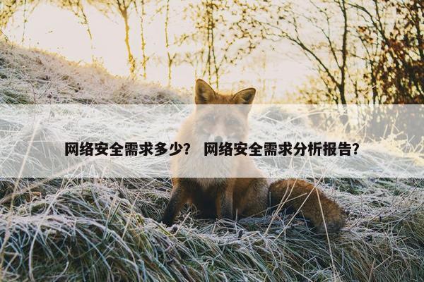 网络安全需求多少？ 网络安全需求分析报告？