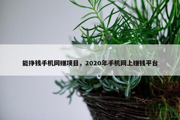 能挣钱手机网赚项目，2020年手机网上赚钱平台