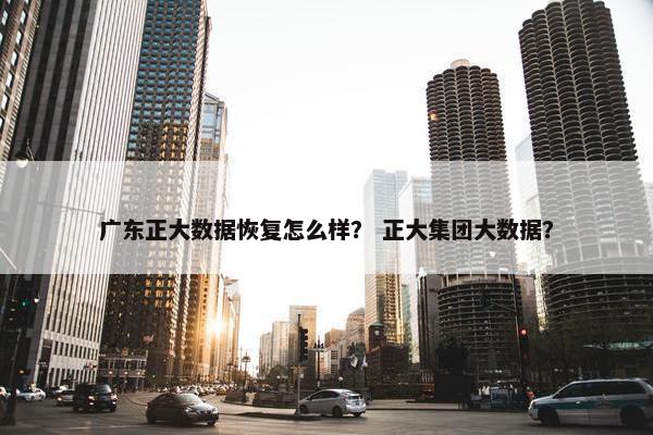 广东正大数据恢复怎么样？ 正大集团大数据？