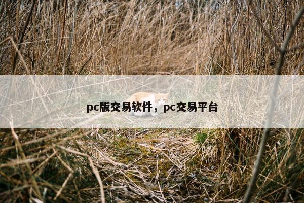 pc版交易软件，pc交易平台