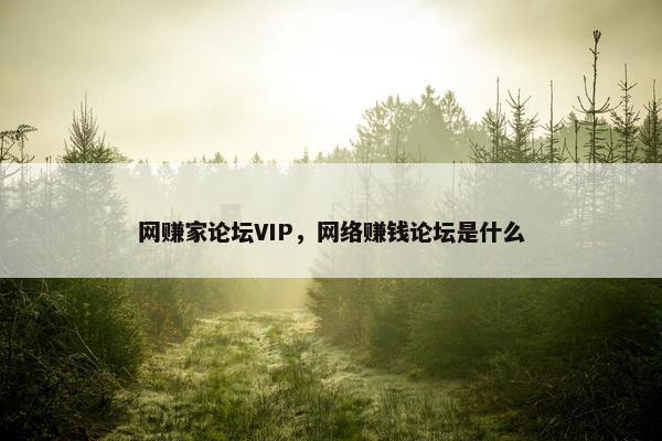 网赚家论坛VIP，网络赚钱论坛是什么