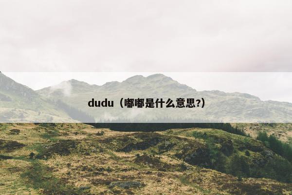 dudu（嘟嘟是什么意思?）