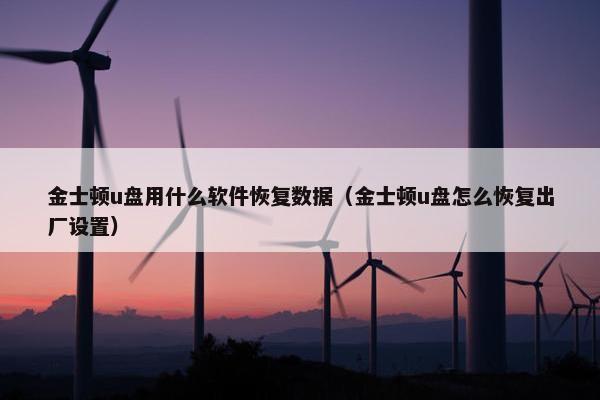 金士顿u盘用什么软件恢复数据（金士顿u盘怎么恢复出厂设置）