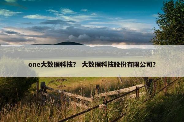 one大数据科技？ 大数据科技股份有限公司？