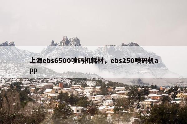 上海ebs6500喷码机耗材，ebs250喷码机app