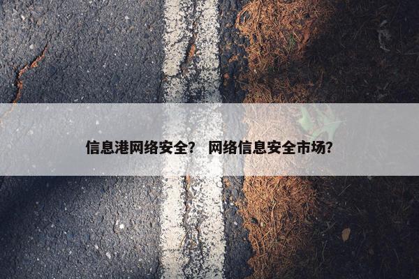 信息港网络安全？ 网络信息安全市场？