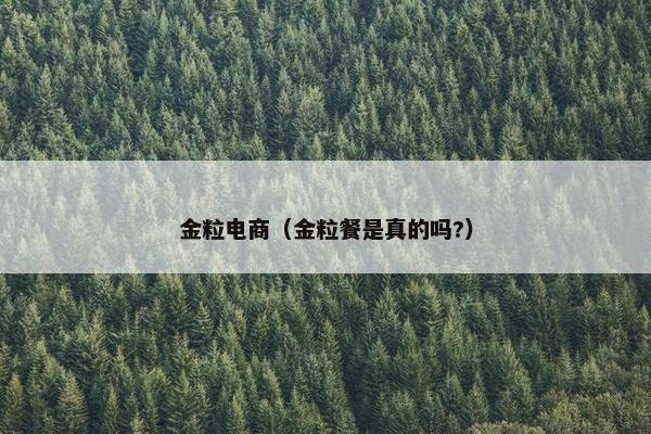 金粒电商（金粒餐是真的吗?）