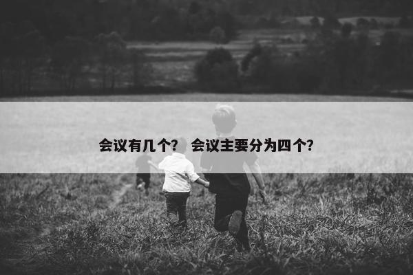 会议有几个？ 会议主要分为四个？