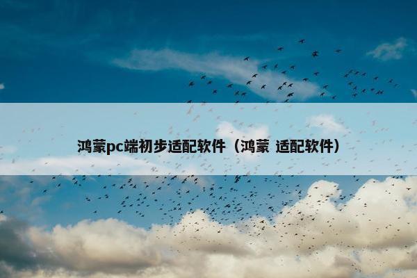 鸿蒙pc端初步适配软件（鸿蒙 适配软件）