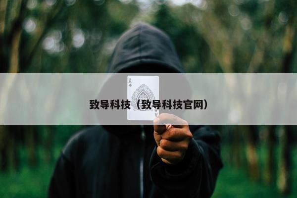 致导科技（致导科技官网）