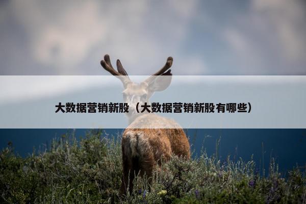 大数据营销新股（大数据营销新股有哪些）