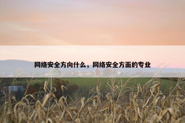 网络安全方向什么，网络安全方面的专业