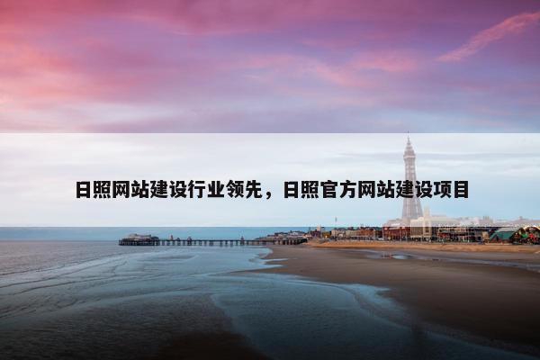 日照网站建设行业领先，日照官方网站建设项目