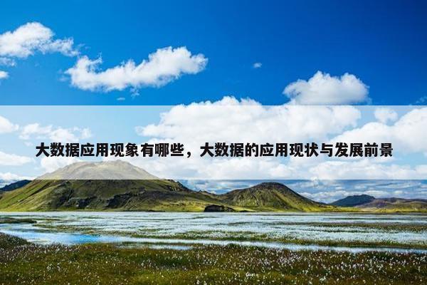 大数据应用现象有哪些，大数据的应用现状与发展前景