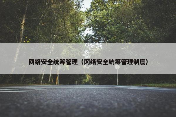 网络安全统筹管理（网络安全统筹管理制度）