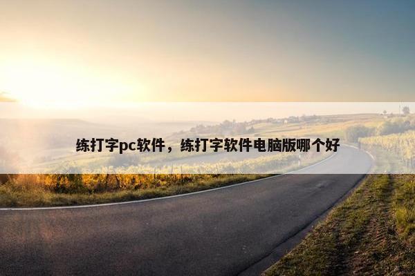 练打字pc软件，练打字软件电脑版哪个好