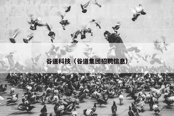 谷道科技（谷道集团招聘信息）