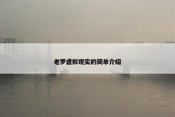 老罗虚拟现实的简单介绍