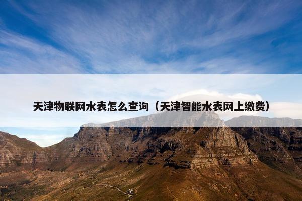 天津物联网水表怎么查询（天津智能水表网上缴费）