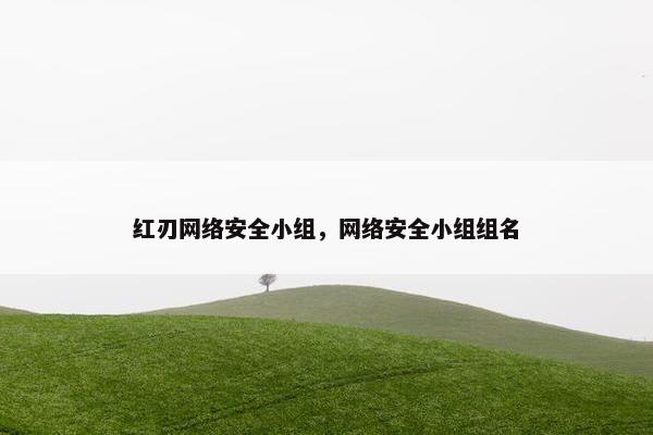 红刃网络安全小组，网络安全小组组名