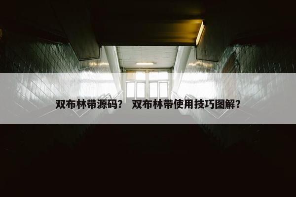 双布林带源码？ 双布林带使用技巧图解？